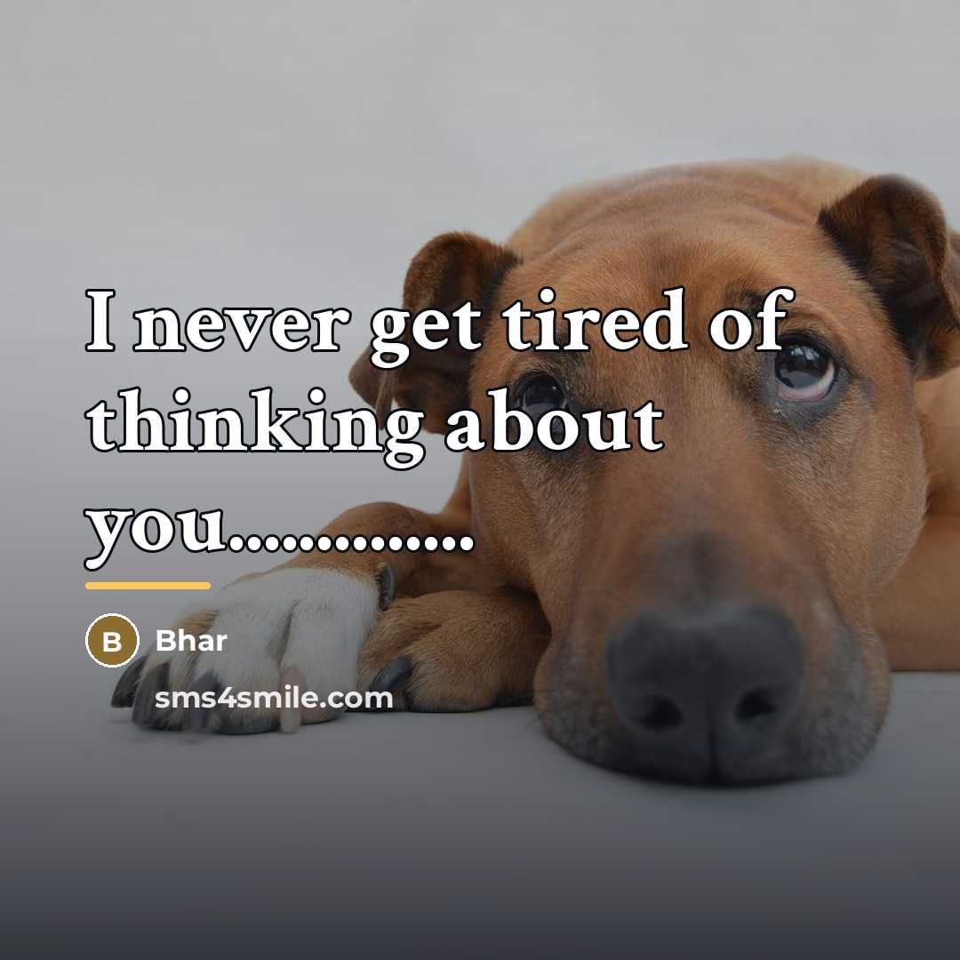 “I never get tired of thinking about you..............…” quote by Bhar