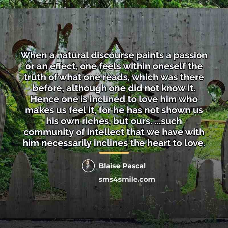 “When a natural discourse paints a passion or an effect,…” quote by Blaise Pascal