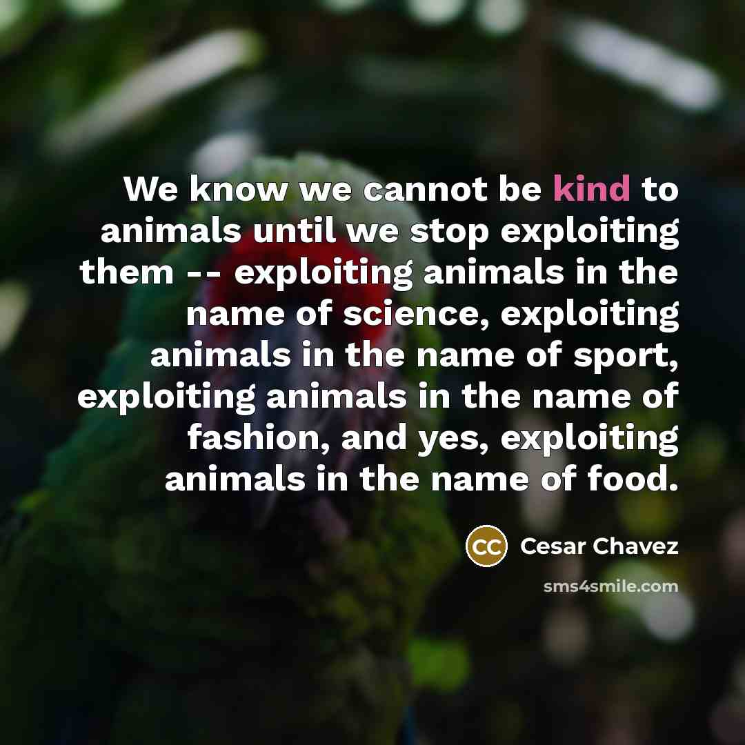 “We know we cannot be kind to animals until we…” quote by Cesar Chavez