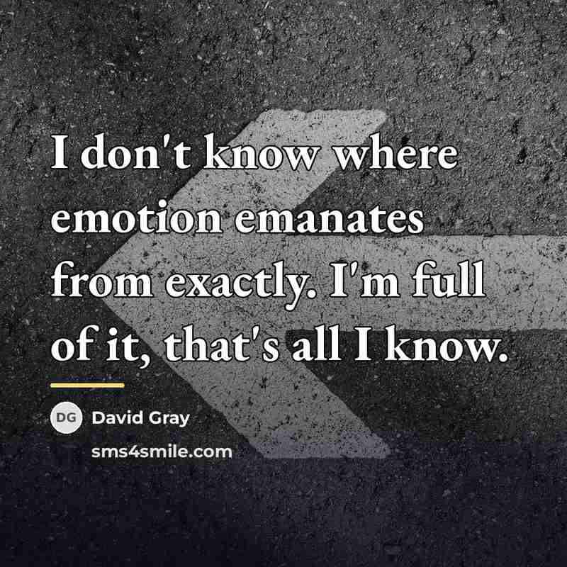 “I don't know where emotion emanates from exactly. I'm full…” quote by David Gray