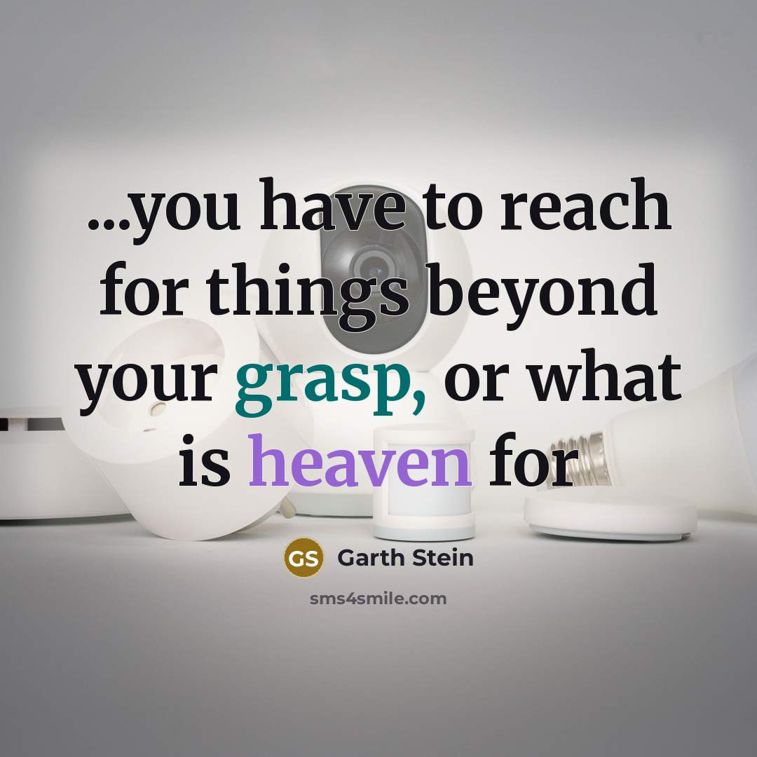 “...you have to reach for things beyond your grasp, or what is heaven for” quote by Garth Stein