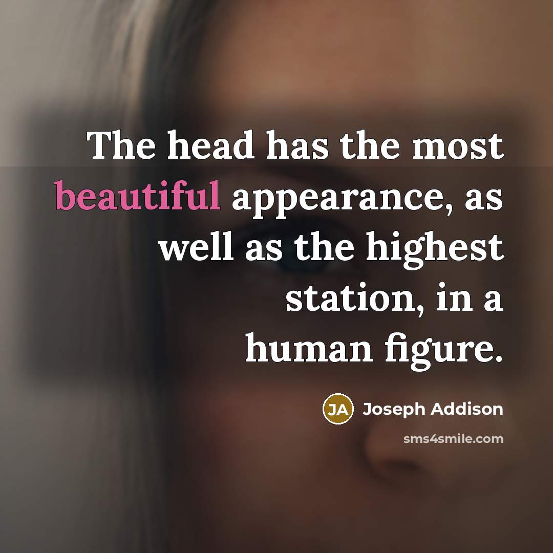 “The head has the most beautiful appearance, as well as…” quote by Joseph Addison