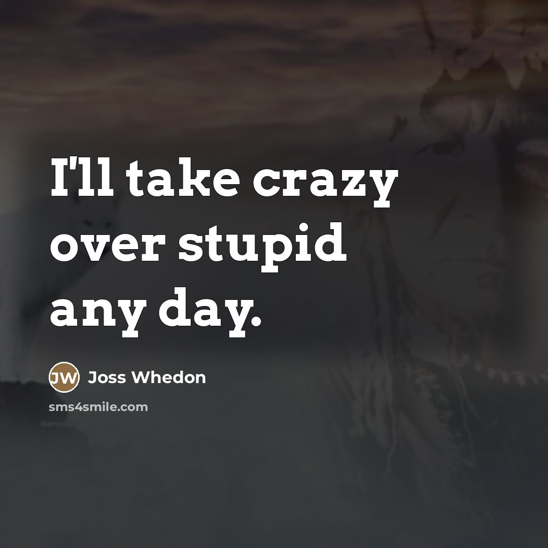 “I'll take crazy over stupid any day.…” quote by Joss Whedon