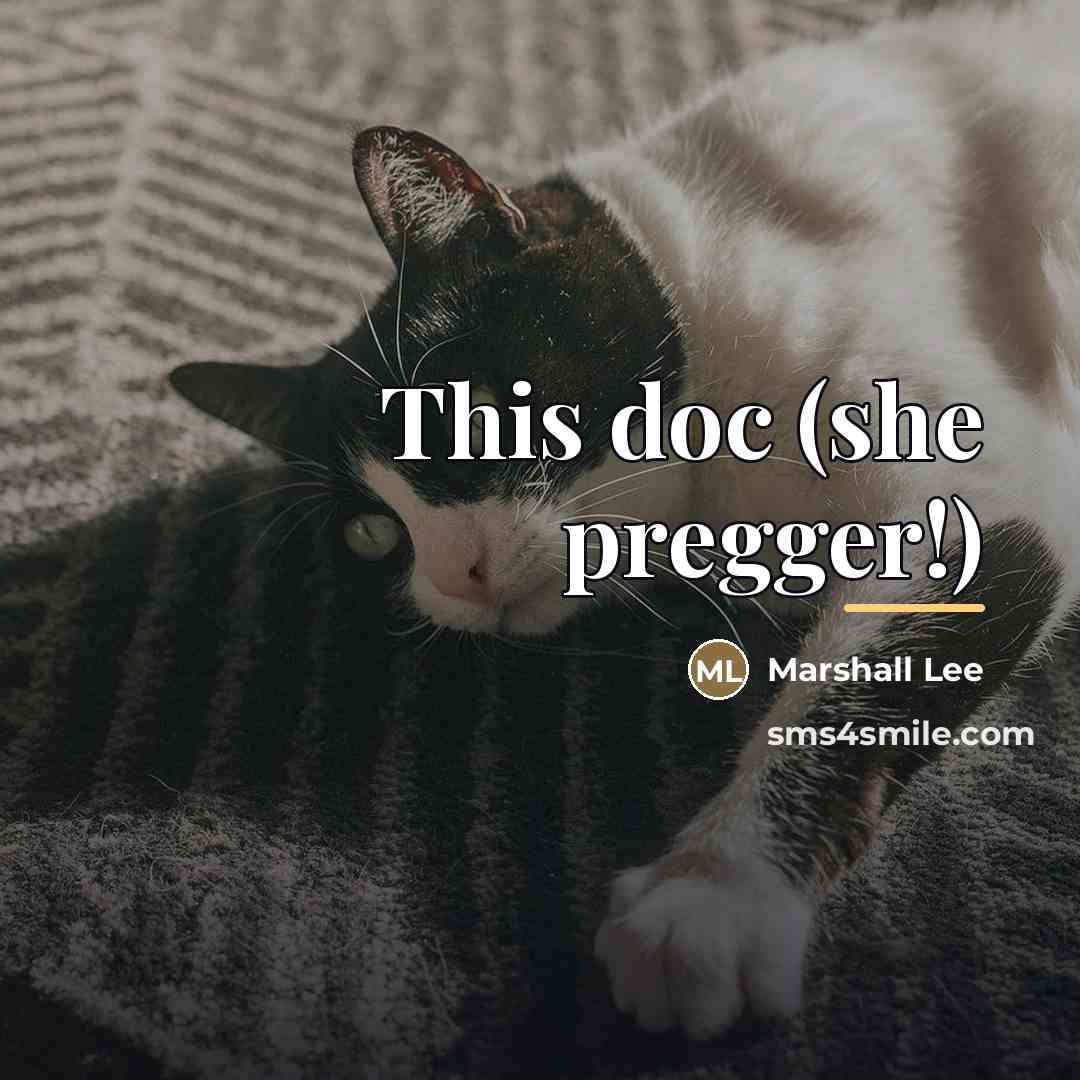 “This doc (she pregger!)…” quote by Marshall Lee