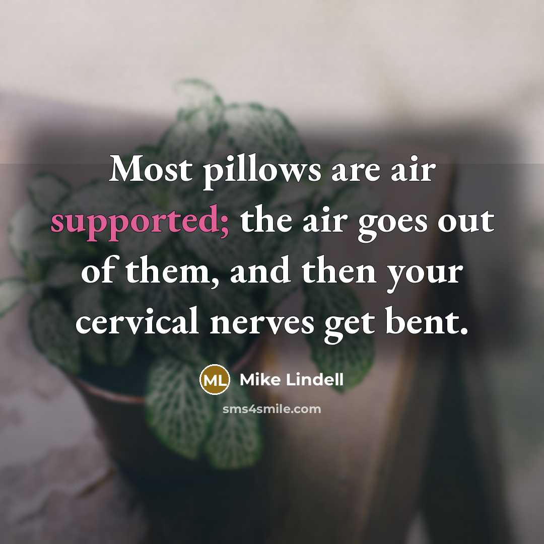 “Most pillows are air supported; the air goes out of…” quote by Mike Lindell