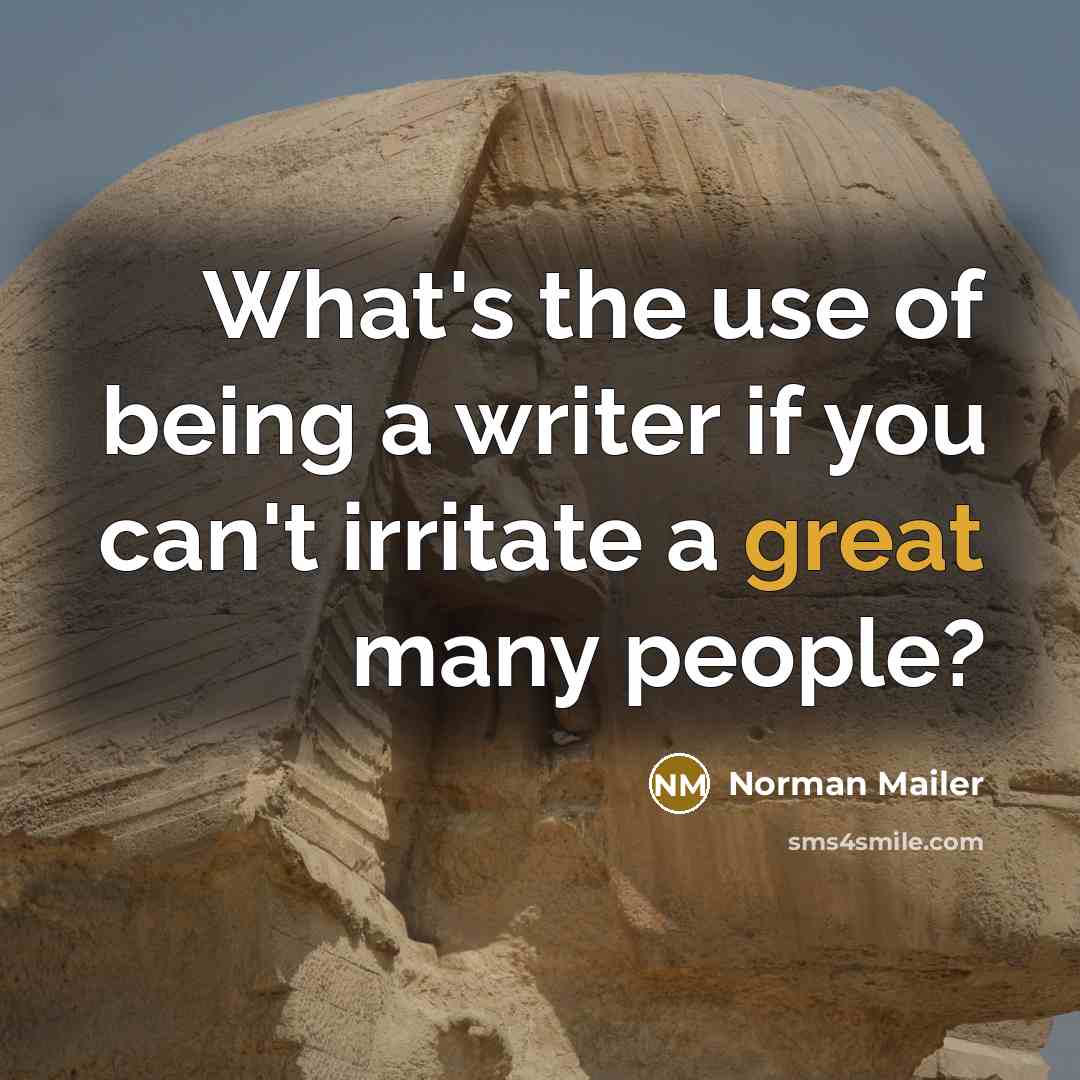 “What's the use of being a writer if you can't irritate a great many people?” quote by Norman Mailer