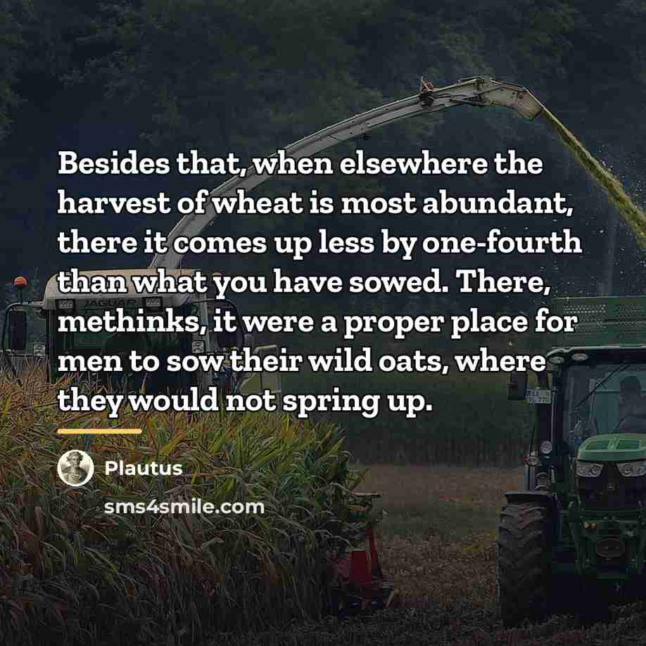 “Besides that, when elsewhere the harvest of wheat is most…” quote by Plautus