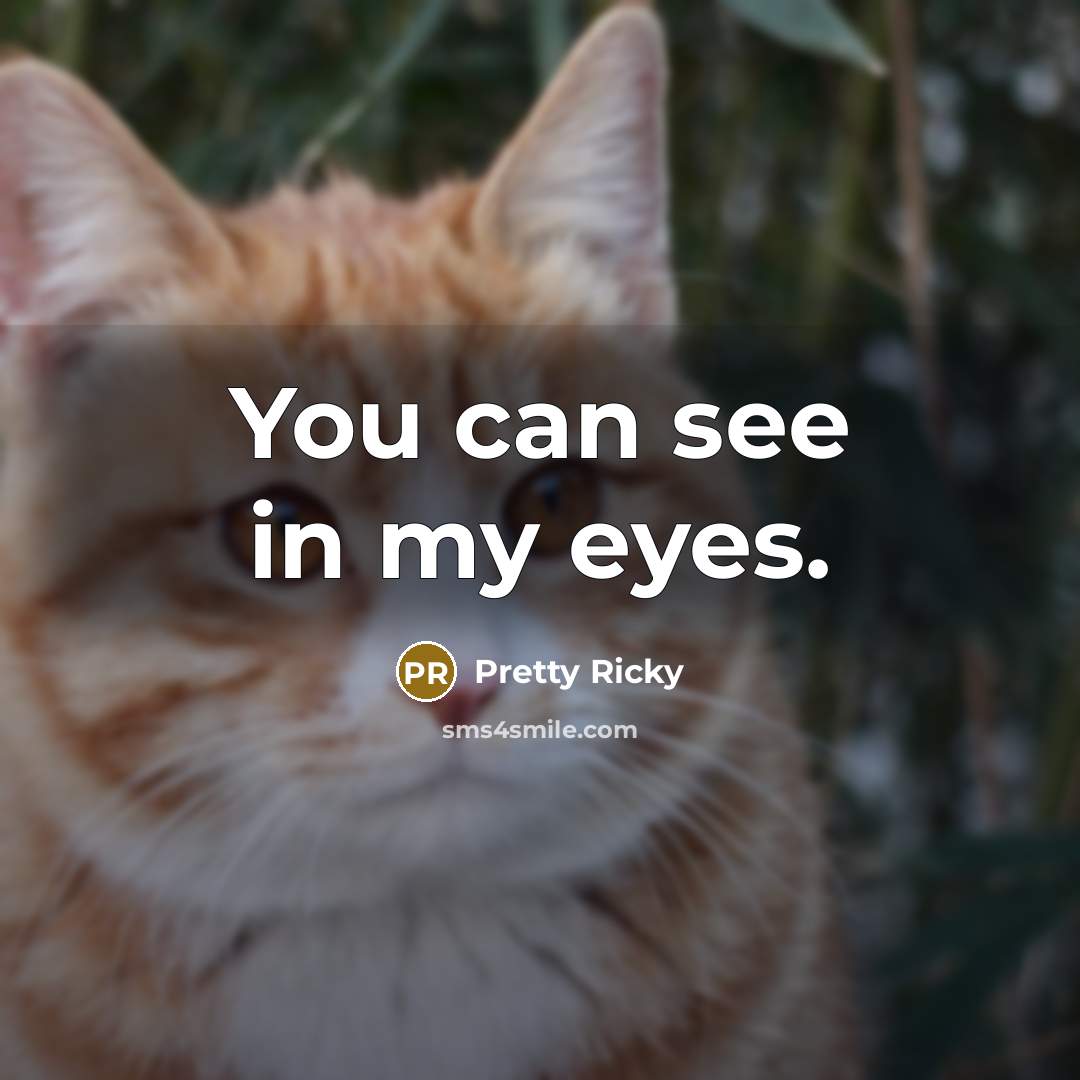 “You can see in my eyes.” quote by Pretty Ricky