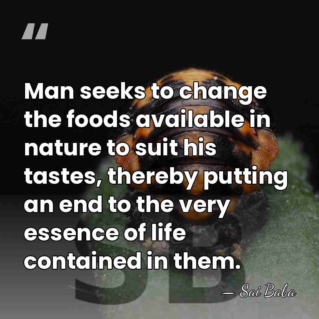 Man seeks to change the foods available in nature to suit his&hellip; - Sai Baba