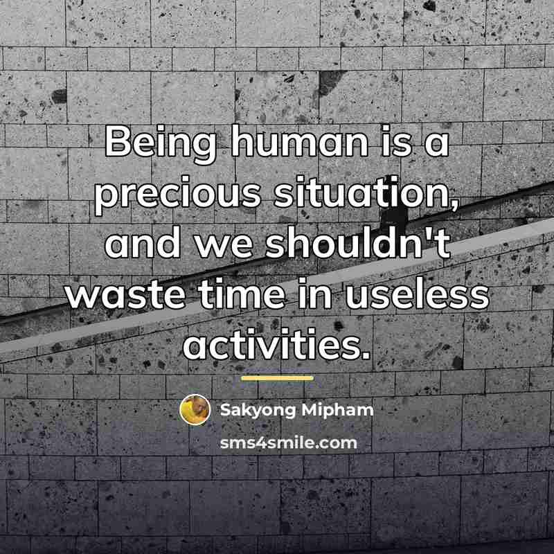 “Being human is a precious situation, and we shouldn't waste…” quote by Sakyong Mipham