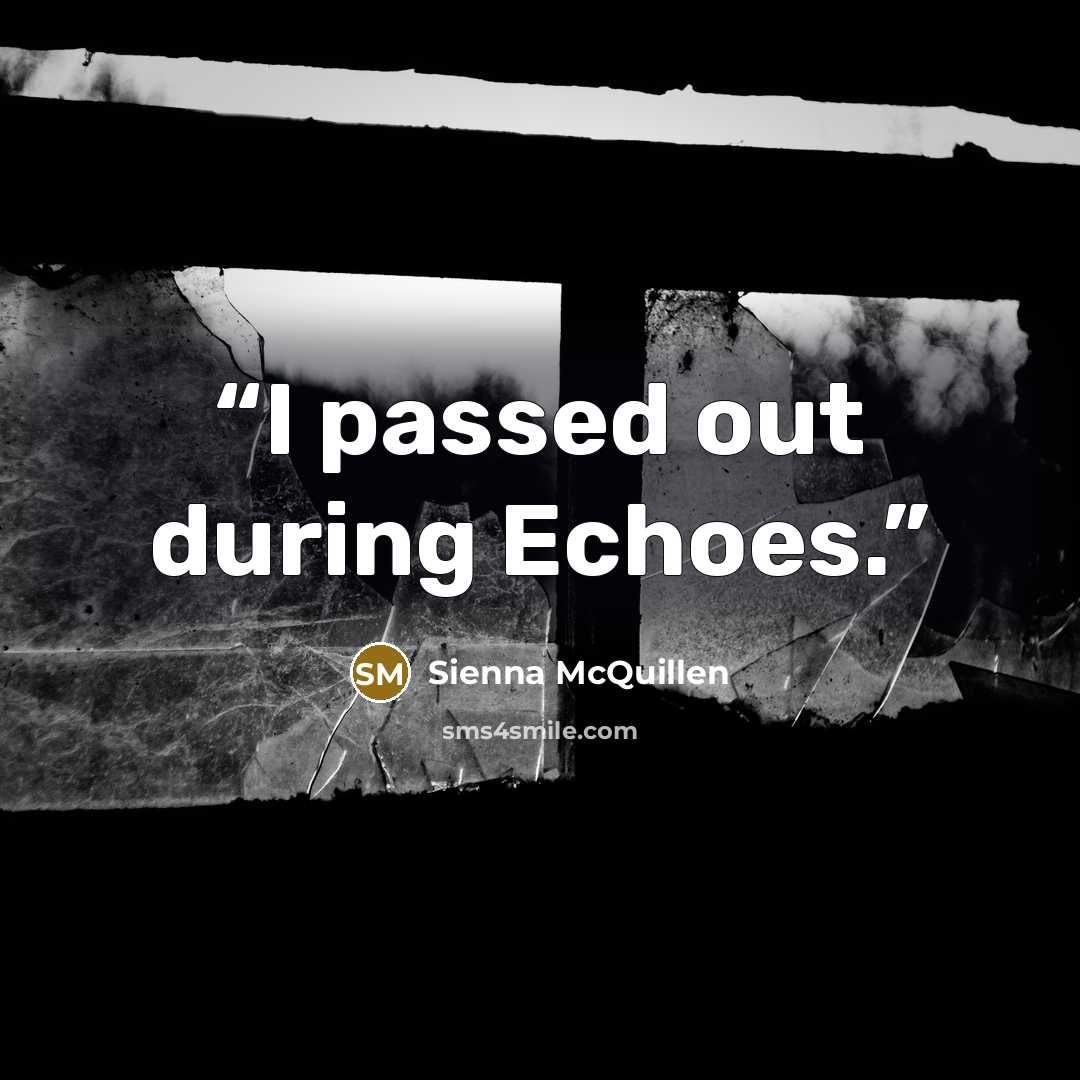 “I passed out during Echoes.” quote by Sienna McQuillen
