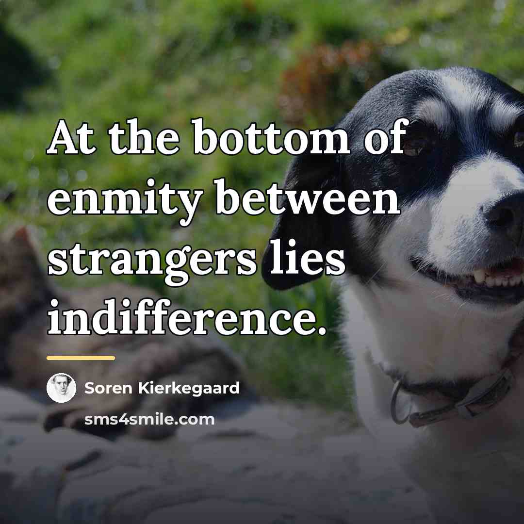 “At the bottom of enmity between strangers lies indifference.…” quote by Soren Kierkegaard