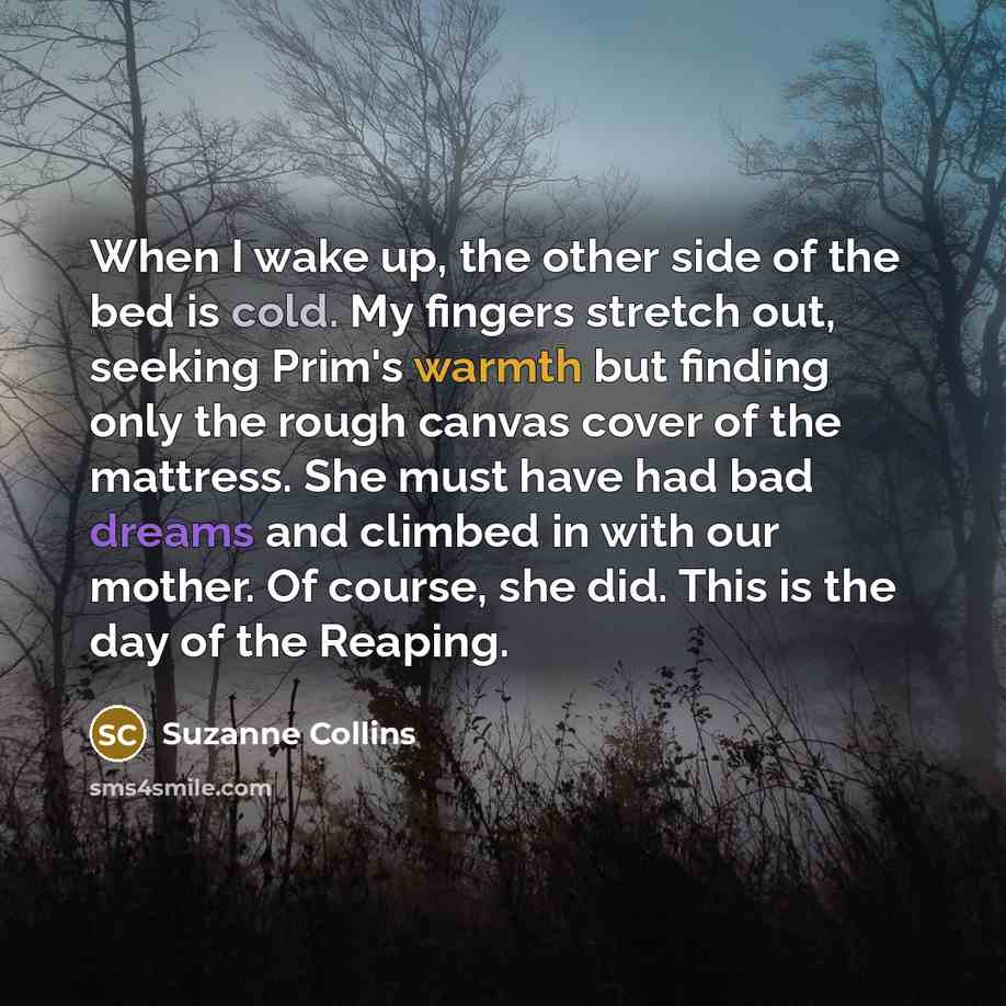 “When I wake up, the other side of the bed…” quote by Suzanne Collins