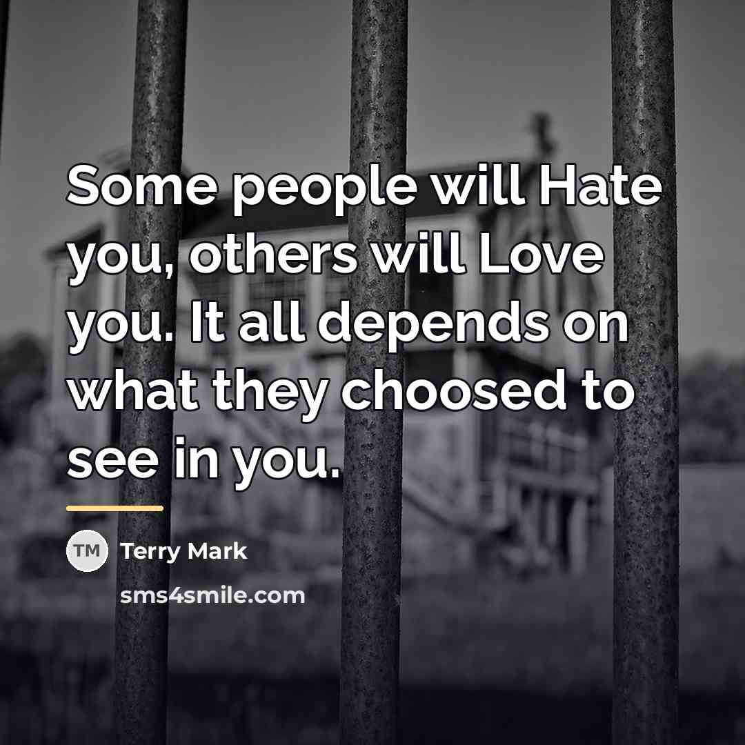“Some people will Hate you, others will Love you. It…” quote by Terry Mark