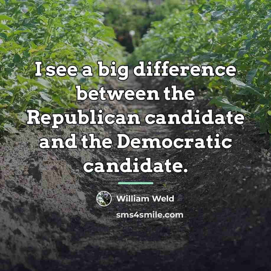 “I see a big difference between the Republican candidate and…” quote by William Weld