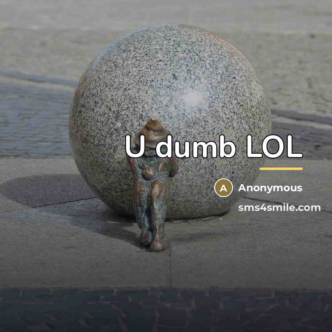 “U dumb LOL…” quote by Anonymous