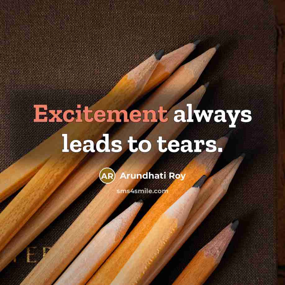 “Excitement always leads to tears.…” quote by Arundhati Roy