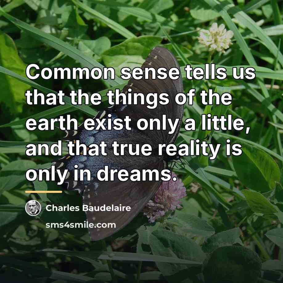 “Common sense tells us that the things of the earth…” quote by Charles Baudelaire
