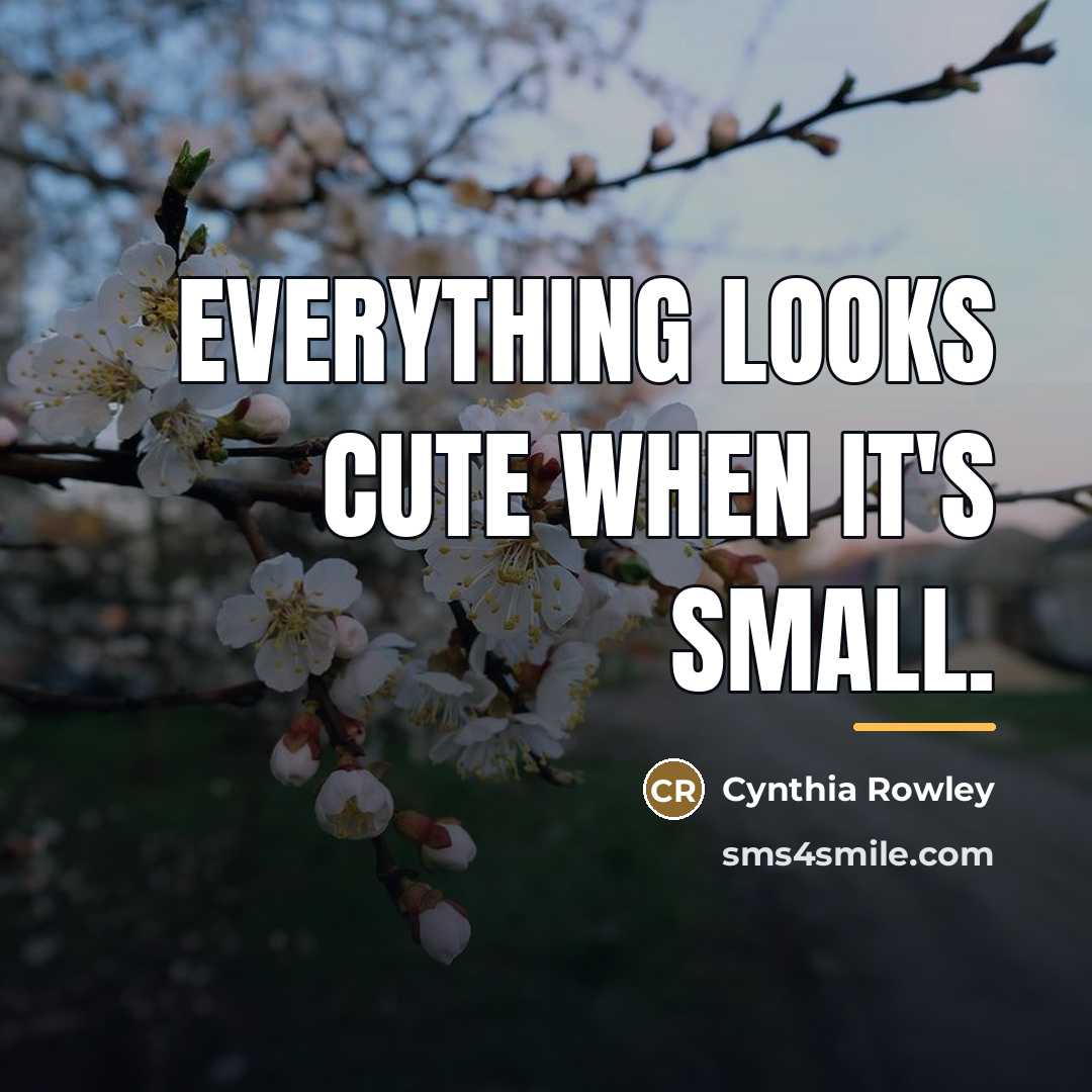 “Everything looks cute when it's small.…” quote by Cynthia Rowley