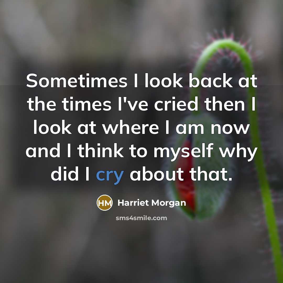 “Sometimes I look back at the times I've cried then…” quote by Harriet Morgan