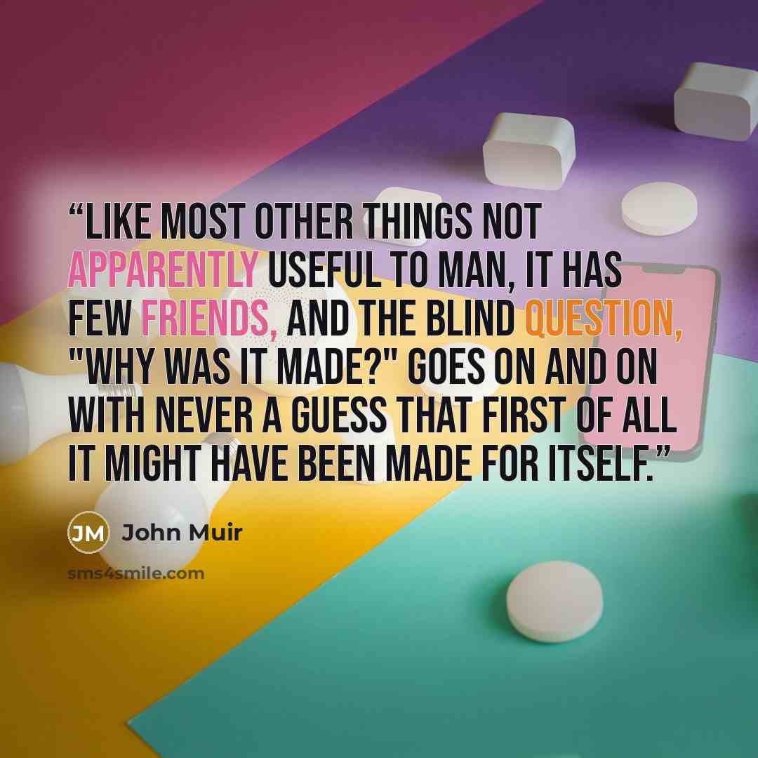 “Like most other things not apparently useful to man, it has few friends, and the blind question, "Why was it made?" goes on and on with never a guess that first of all it might have been made for itself.” quote by John Muir