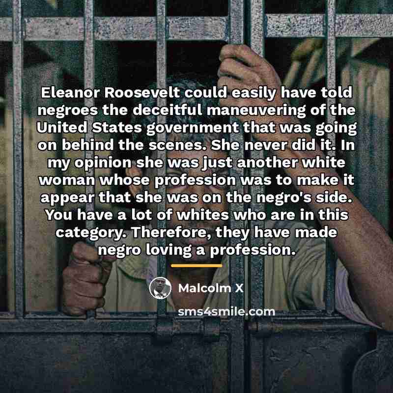 “Eleanor Roosevelt could easily have told negroes the deceitful maneuvering…” quote by Malcolm X