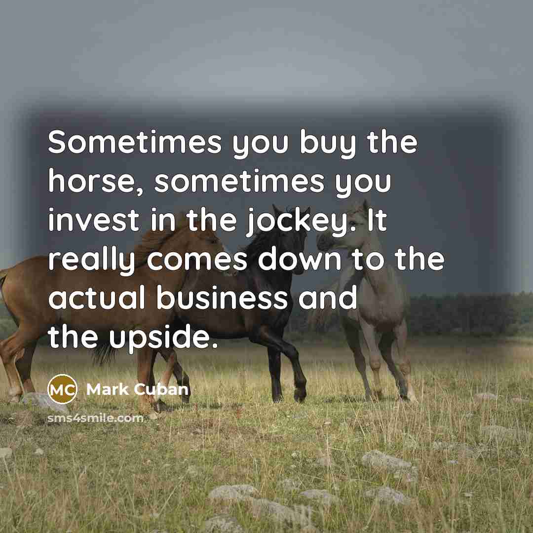 “Sometimes you buy the horse, sometimes you invest in the…” quote by Mark Cuban