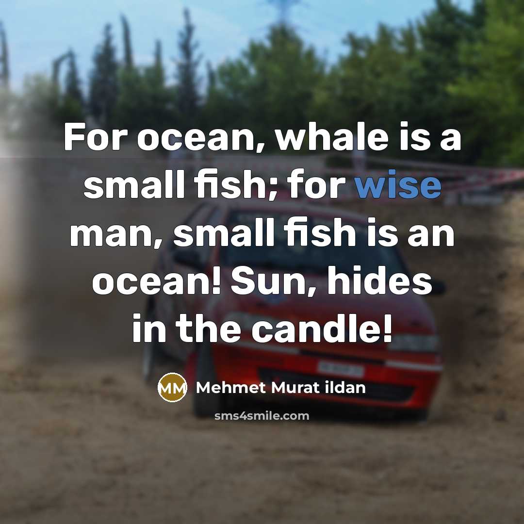 “For ocean, whale is a small fish; for wise man,…” quote by Mehmet Murat Ildan