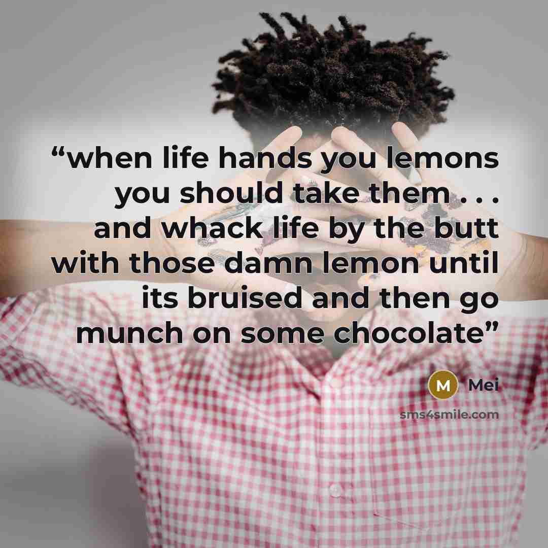 “when life hands you lemons you should take them . . . and whack life by the butt with those damn lemon until its bruised and then go munch on some chocolate” quote by mei