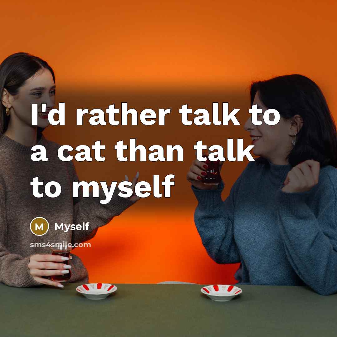 “I'd rather talk to a cat than talk to myself…” quote by Myself