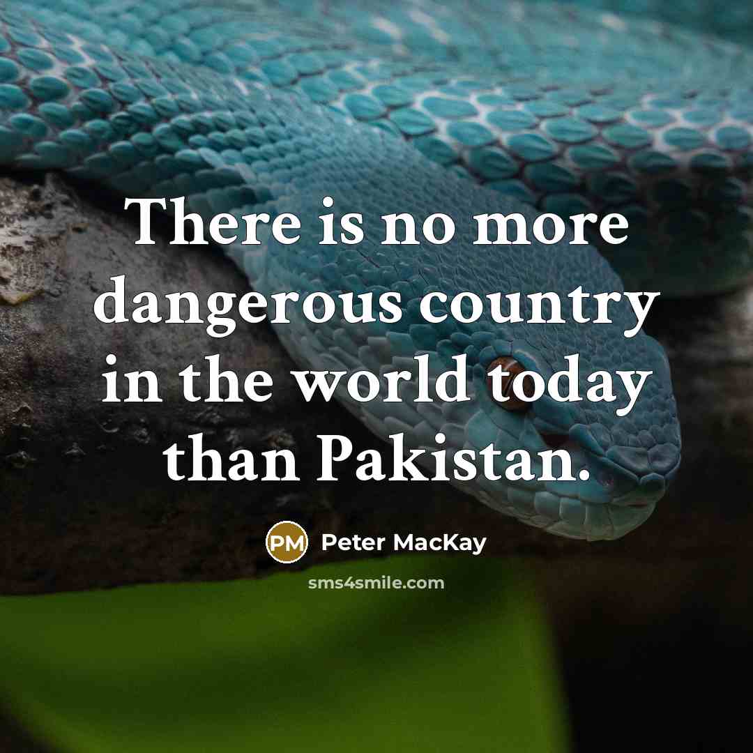 “There is no more dangerous country in the world today…” quote by Peter MacKay
