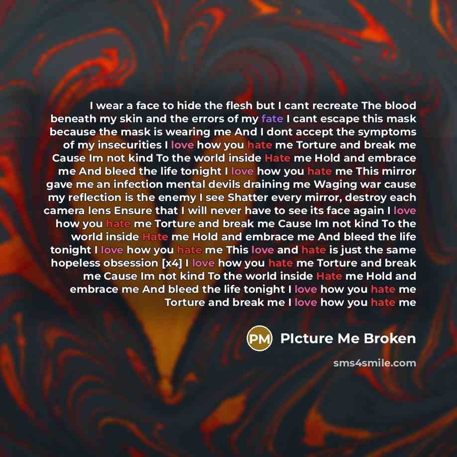 “I wear a face to hide the flesh but I…” quote by PIcture Me Broken