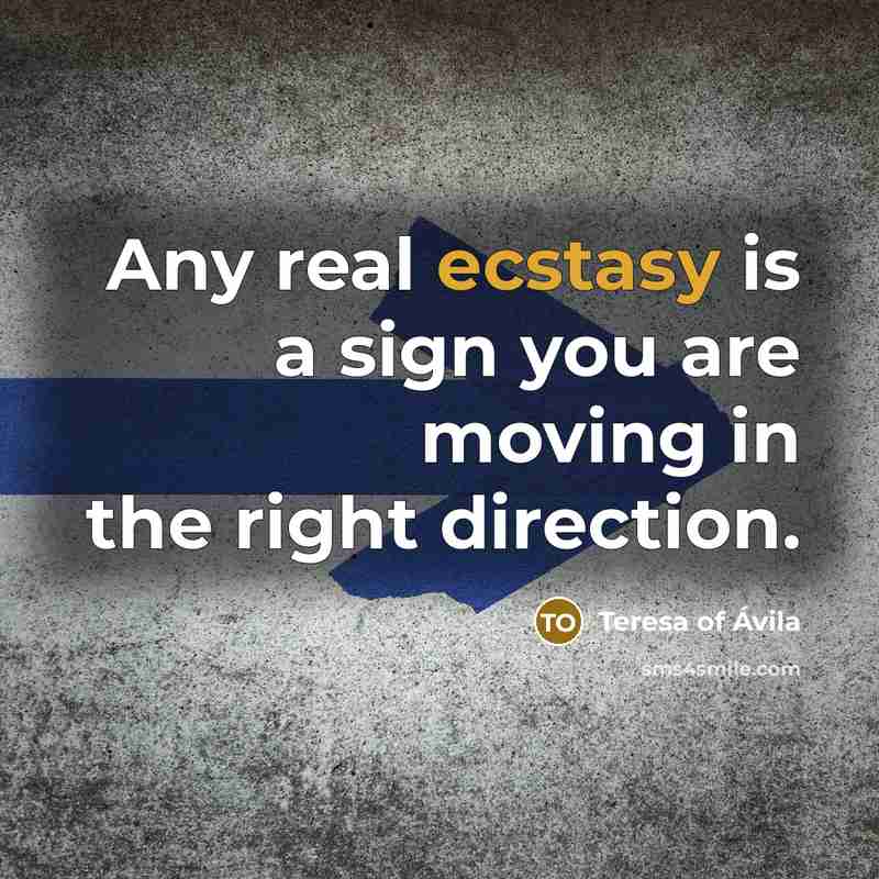“Any real ecstasy is a sign you are moving in…” quote by Teresa of Avila