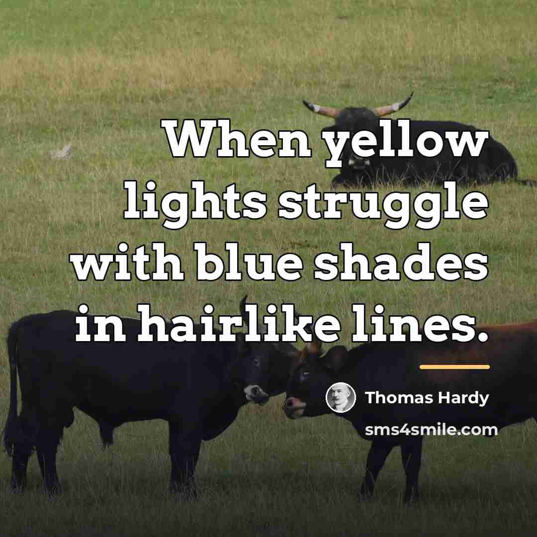 “When yellow lights struggle with blue shades in hairlike lines.…” quote by Thomas Hardy