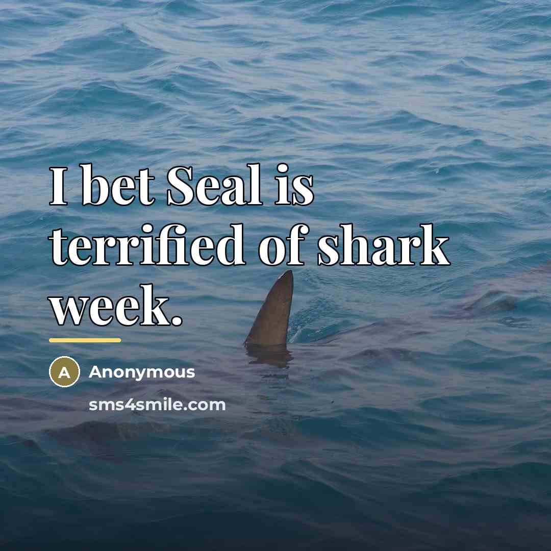“I bet Seal is terrified of shark week.…” quote by Anonymous