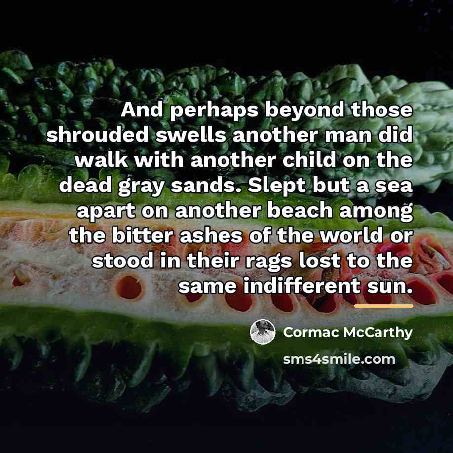 “And perhaps beyond those shrouded swells another man did walk…” quote by Cormac McCarthy