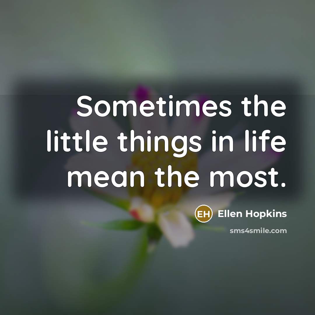 “Sometimes the little things in life mean the most.…” quote by Ellen Hopkins