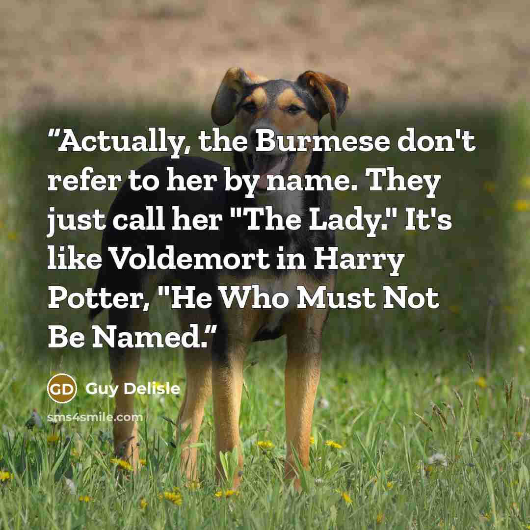 “Actually, the Burmese don't refer to her by name. They just call her "The Lady." It's like Voldemort in Harry Potter, "He Who Must Not Be Named.” quote by Guy Delisle