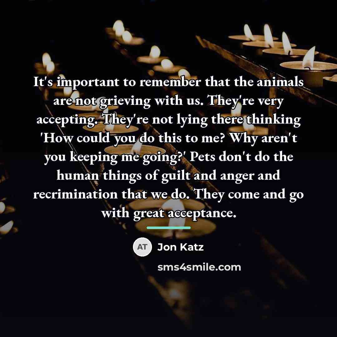 “It's important to remember that the animals are not grieving…” quote by Jon Katz