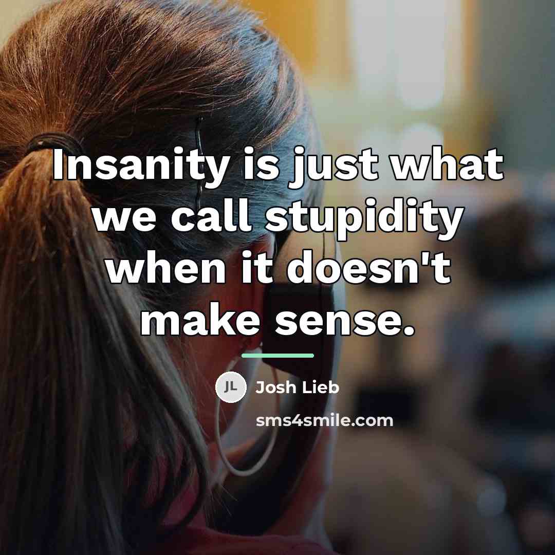 “Insanity is just what we call stupidity when it doesn't…” quote by Josh Lieb