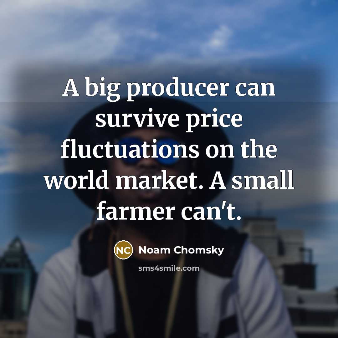 “A big producer can survive price fluctuations on the world…” quote by Noam Chomsky