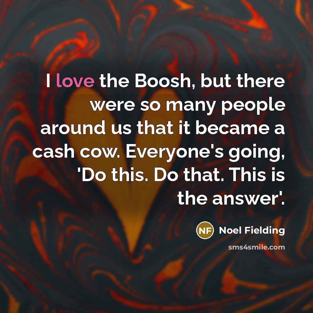 “I love the Boosh, but there were so many people…” quote by Noel Fielding