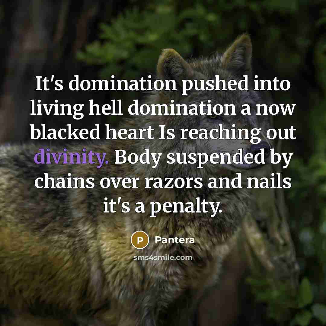 “It's domination pushed into living hell domination a now blacked heart Is reaching out divinity. Body suspended by chains over razors and nails it's a penalty.” quote by Pantera