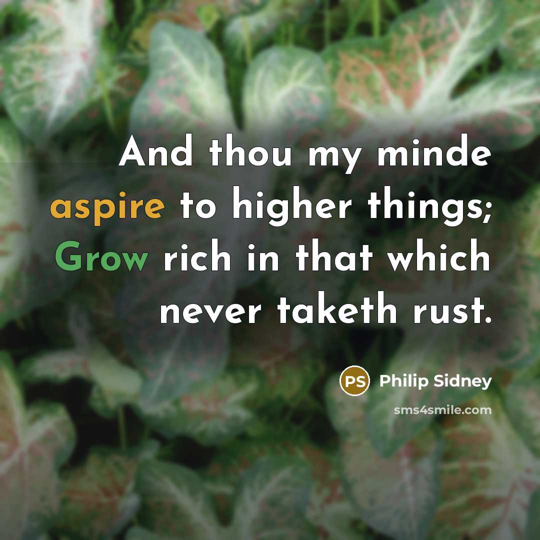 “And thou my minde aspire to higher things; Grow rich…” quote by Philip Sidney