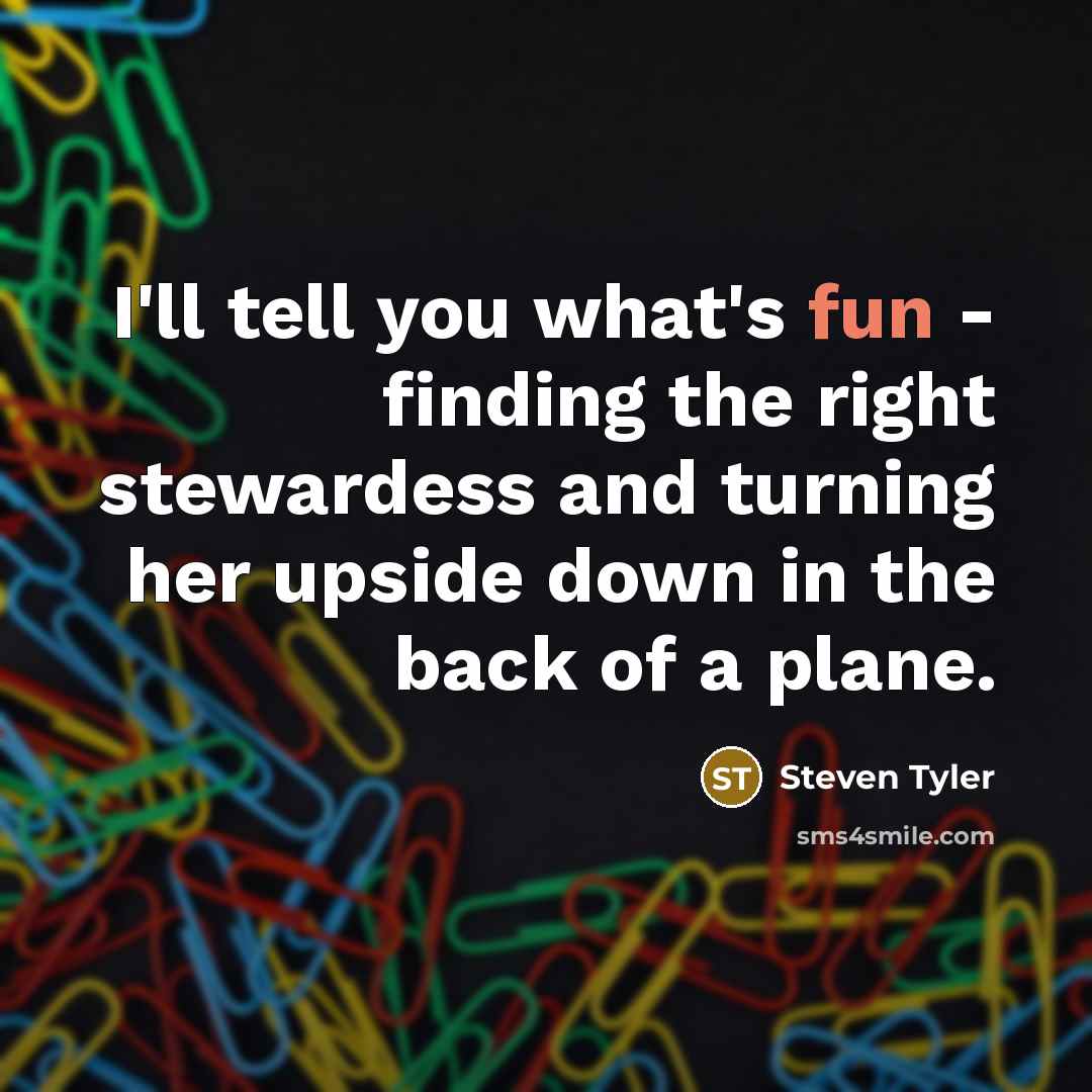 “I'll tell you what's fun - finding the right stewardess…” quote by Steven Tyler