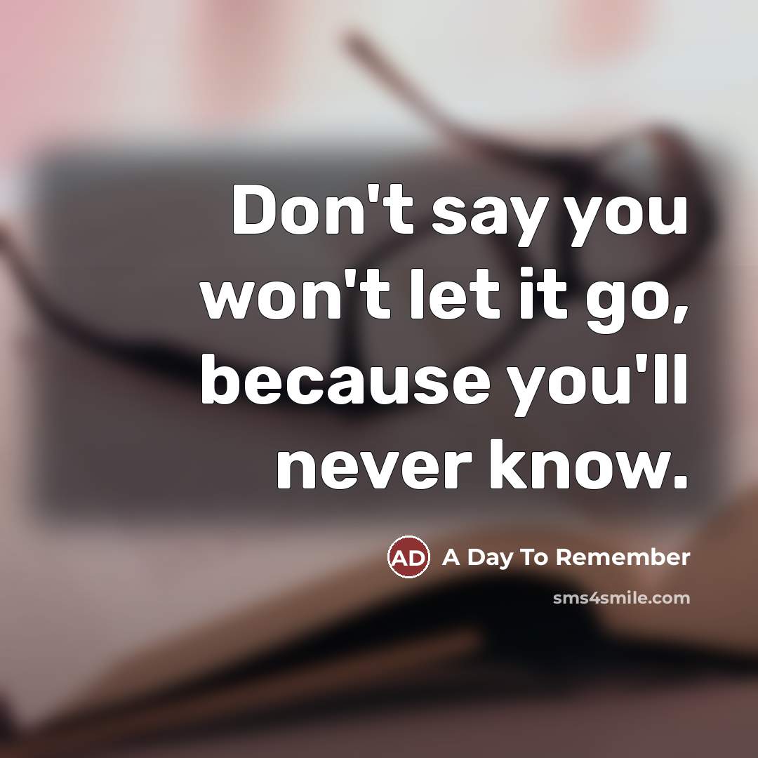 “Don't say you won't let it go, because you'll never…” quote by A Day To Remember