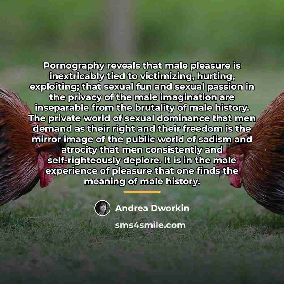 “Pornography reveals that male pleasure is inextricably tied to victimizing,…” quote by Andrea Dworkin