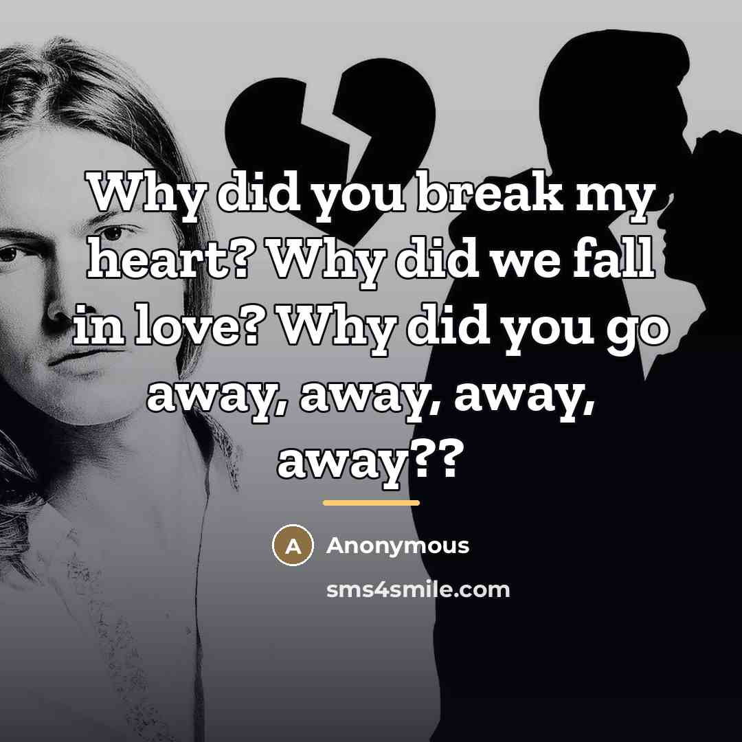 “Why did you break my heart? Why did we fall…” quote by Anonymous