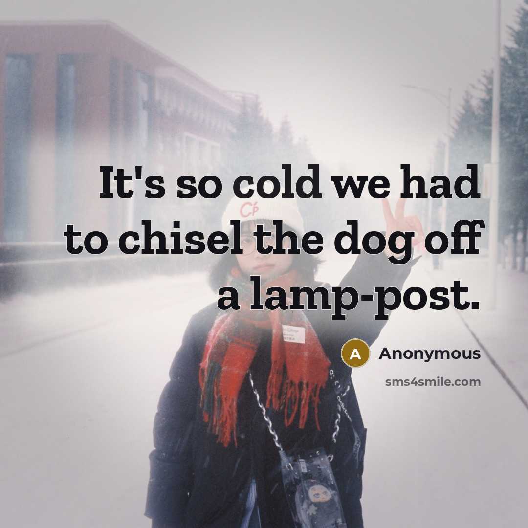 “It's so cold we had to chisel the dog off…” quote by Anonymous