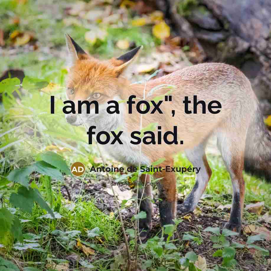 “I am a fox", the fox said.…” quote by Antoine de Saint-Exupery